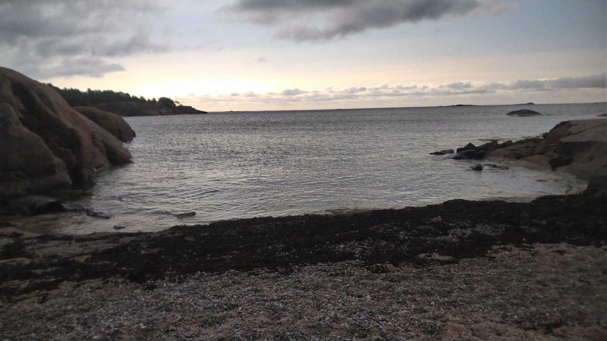 Raikas ja rauhoittava #aamupulahdus syyskuuhun, joka on aika täynnä. Syksy on ihana, se pitää vaan muistaa aina uudelleen. Meri on hyvä muistutus, ja metsä🤗