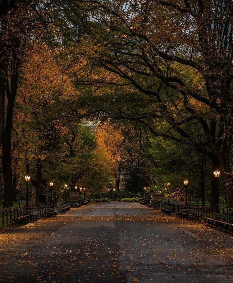 girlinfairy's tweet photo. september 1st ♡🍁🧦 https://t.co/28StXu0nPd