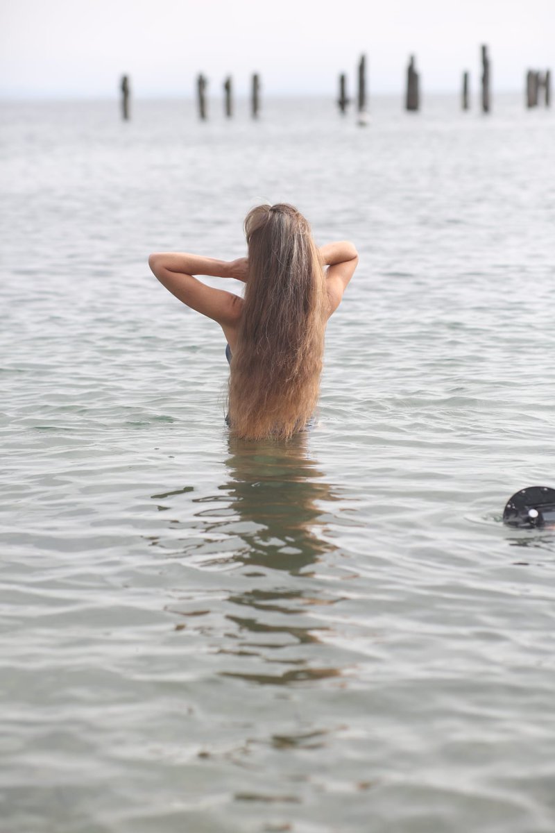 Sherry Coenen tweet media