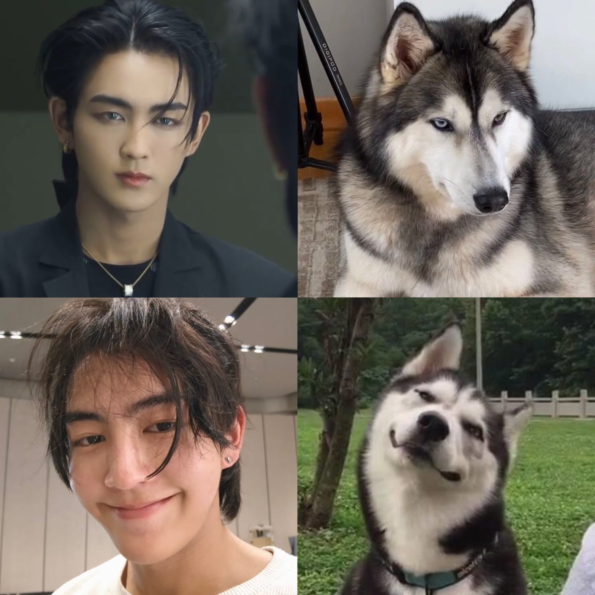 ฮ้าทเหมือนไซจริงๆ ถ้าอยู่นิ่งๆก็หล่อเท่เลย พี่พระเอก พี่สุดหล่อ พอขยับก็งืม ต๊องเหมือนกันนะเรา