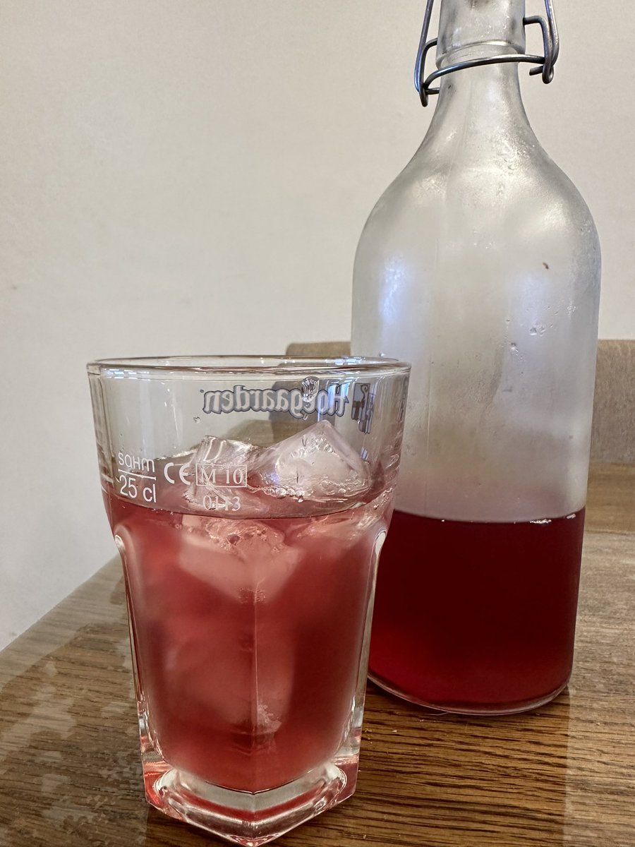 PricillaMark's tweet photo. First brew of kombucha - blueberry and chrysanthemum https://t.co/kifn85IHKD