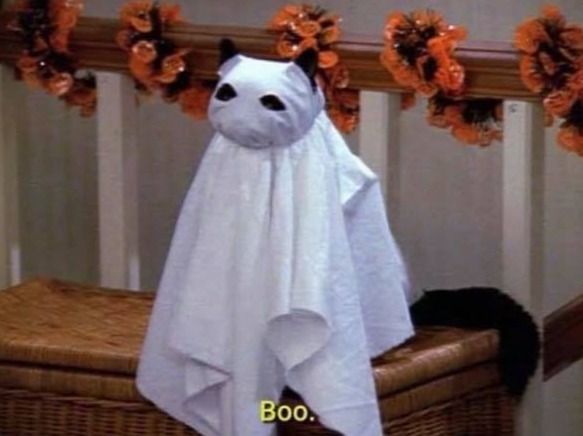 August 31st                         September 1st