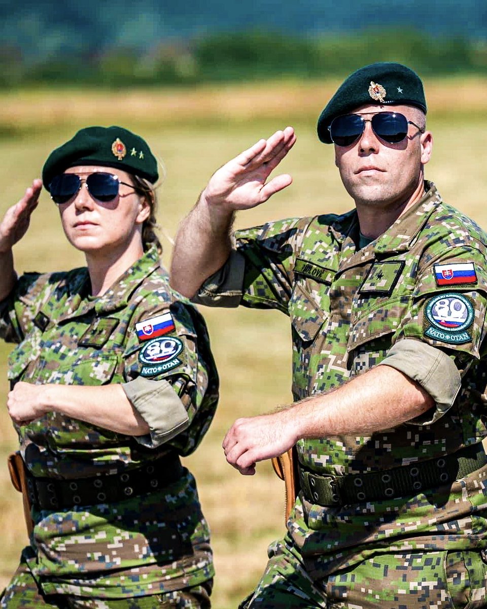 Retweet to join us in wishing our Ally 🇸🇰 Slovakia a happy Constitution Day!

#WeAreNATO 🤝 <a href="/Slovakia_NATO/">Slovakia in NATO</a>