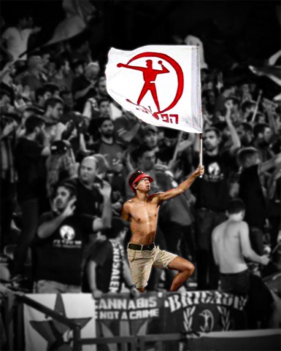 Nir Rotem - ניר רותם tweet media