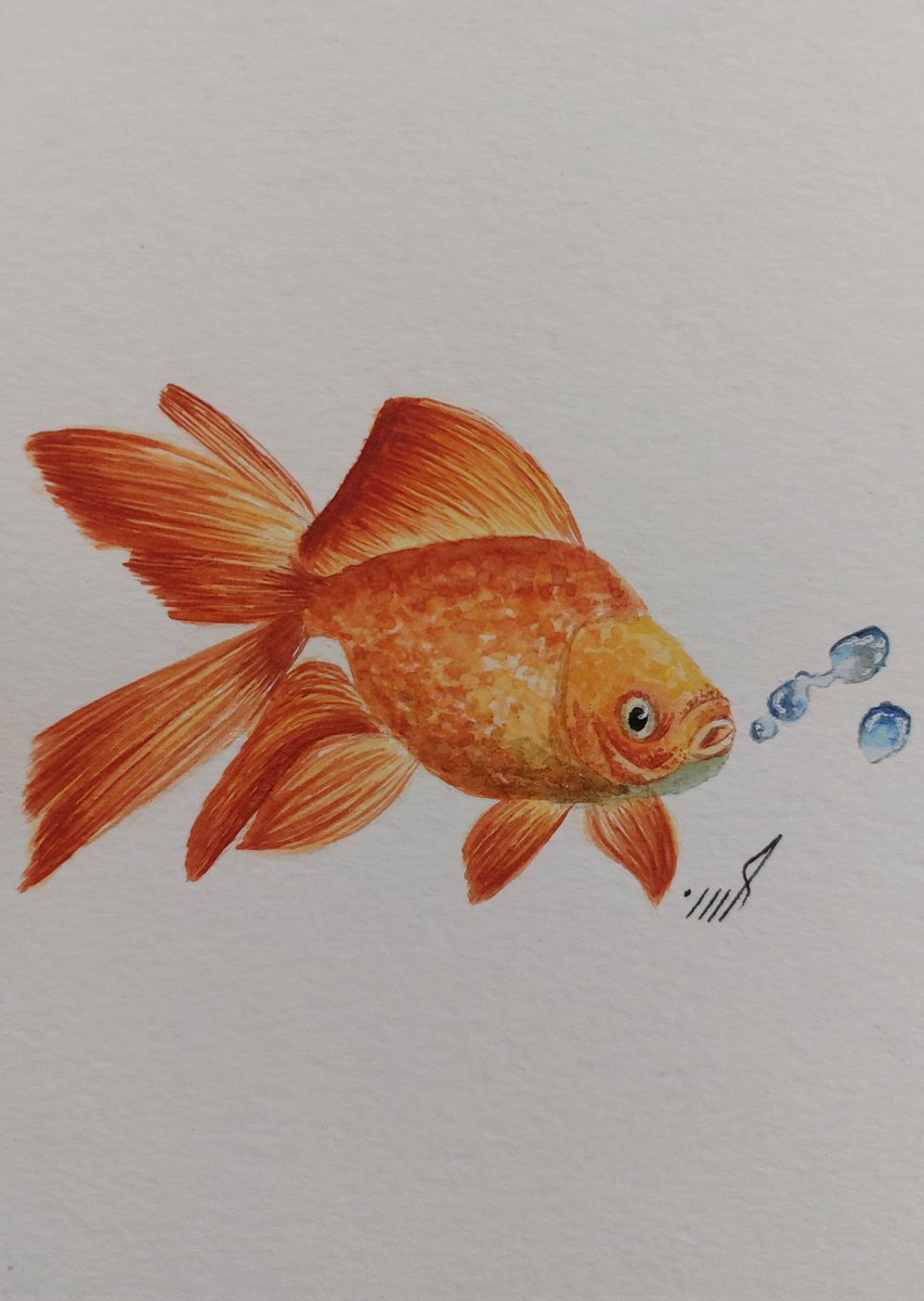 hbibzde73252's tweet photo. Gm my lovely fam 😍✨️🦋
🐡Name:Mud fish
🐡Edition:1/1
🐡price:10 $xtz
#AEW
#arezoo
#TezosArt
#Madenft1
#NFT_Shill
https://t.co/untojwrGFt https://t.co/eFklQBPLFB