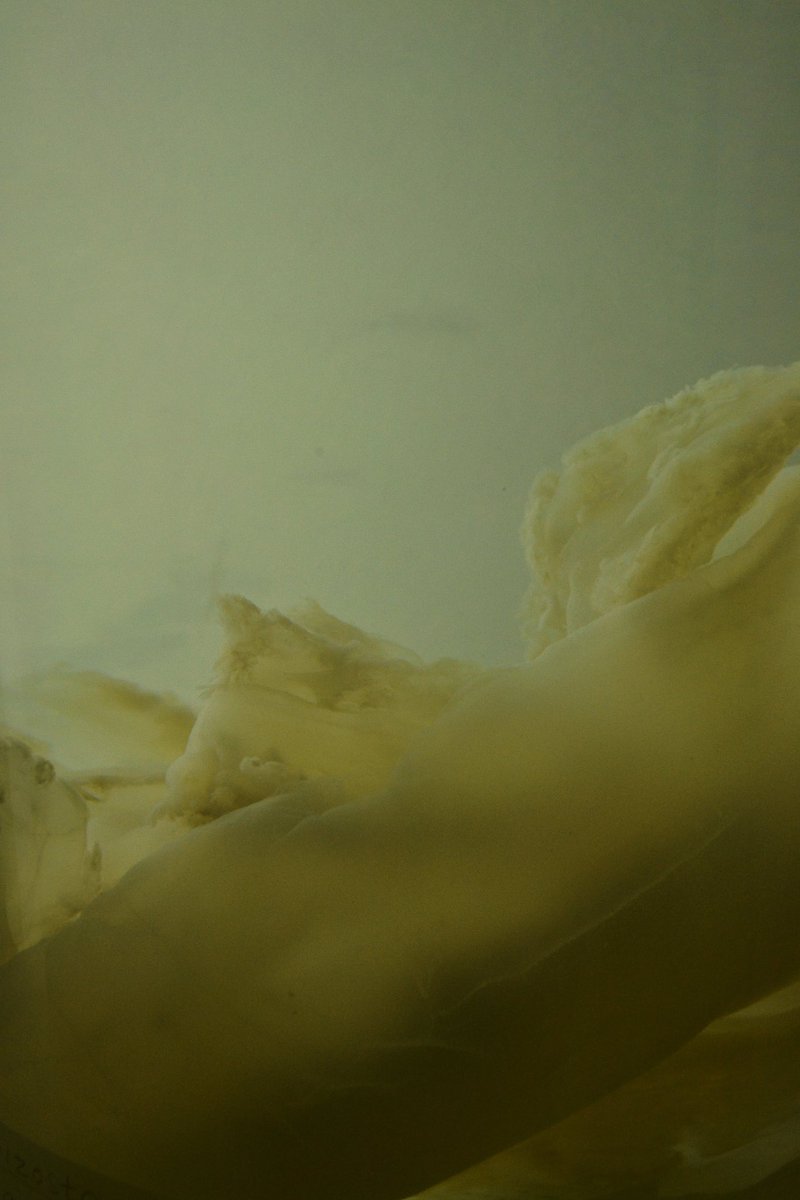 Estas del British Museum