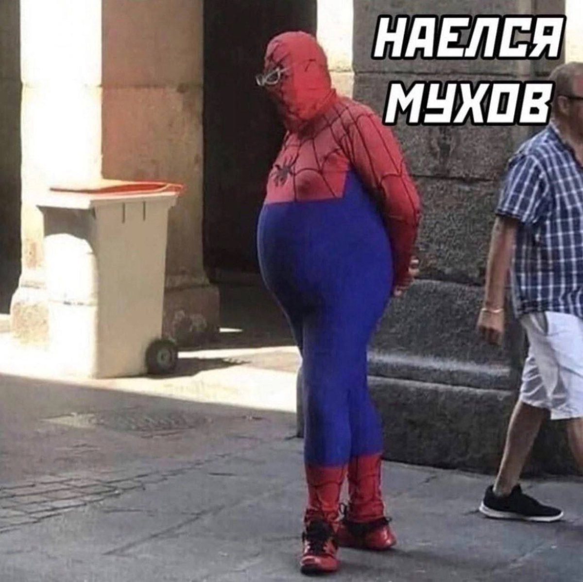 Gribanov ☢ ᓚᘏᗢ (@gribanov) on Twitter photo 