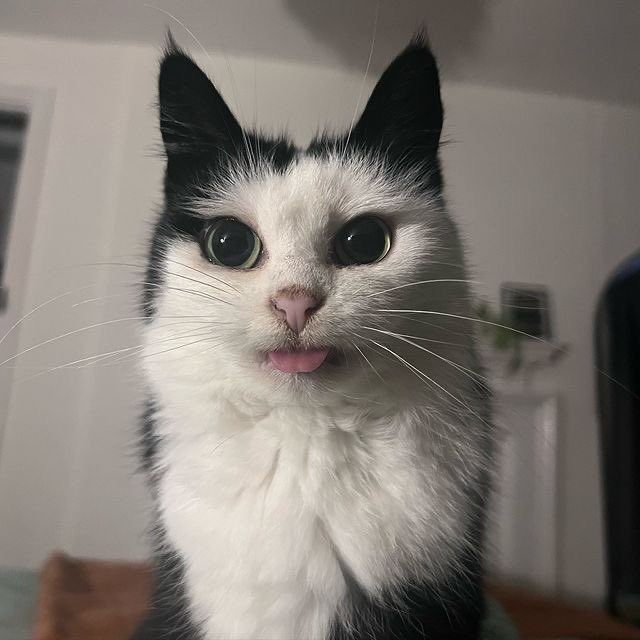 - (@drowsy4653) on Twitter photo 