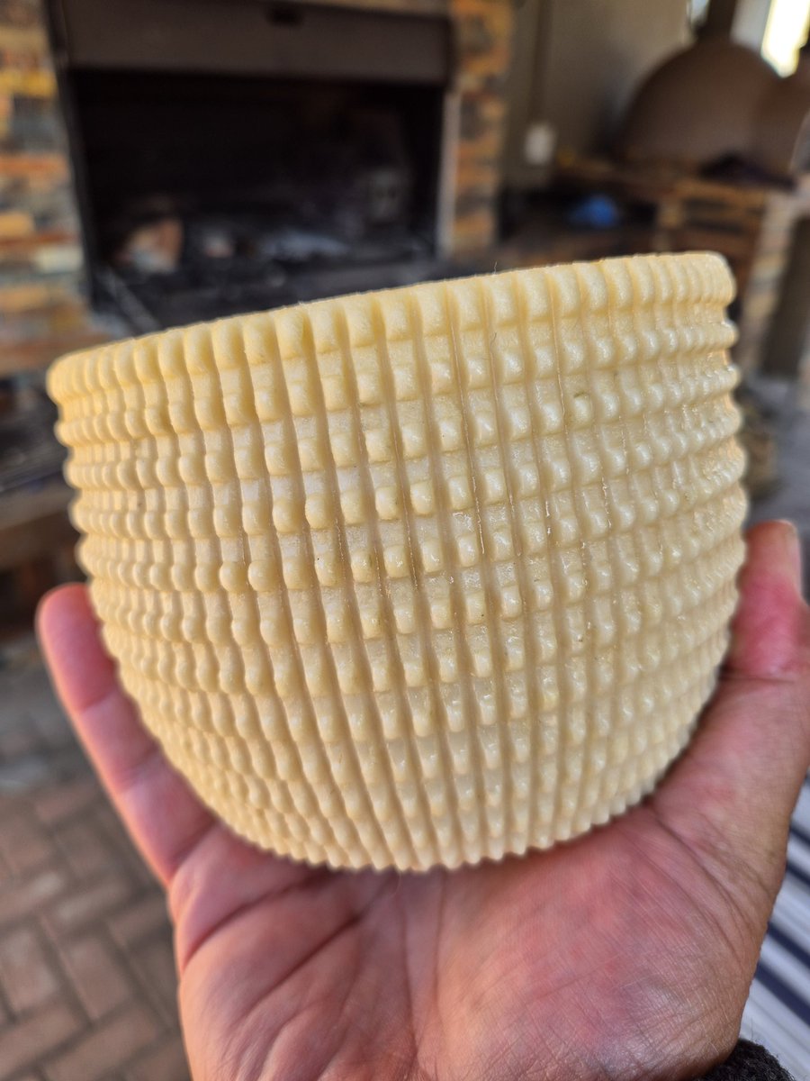 Nick Theodoropoulos tweet media