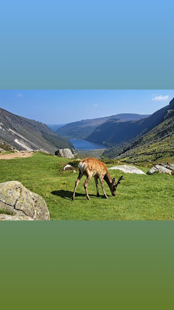 ni_charra's tweet photo. Glendalough yesterday #glendalough #Ireland #wicklow #Countryside #hiking #view #greatviews https://t.co/uN4ab3660z