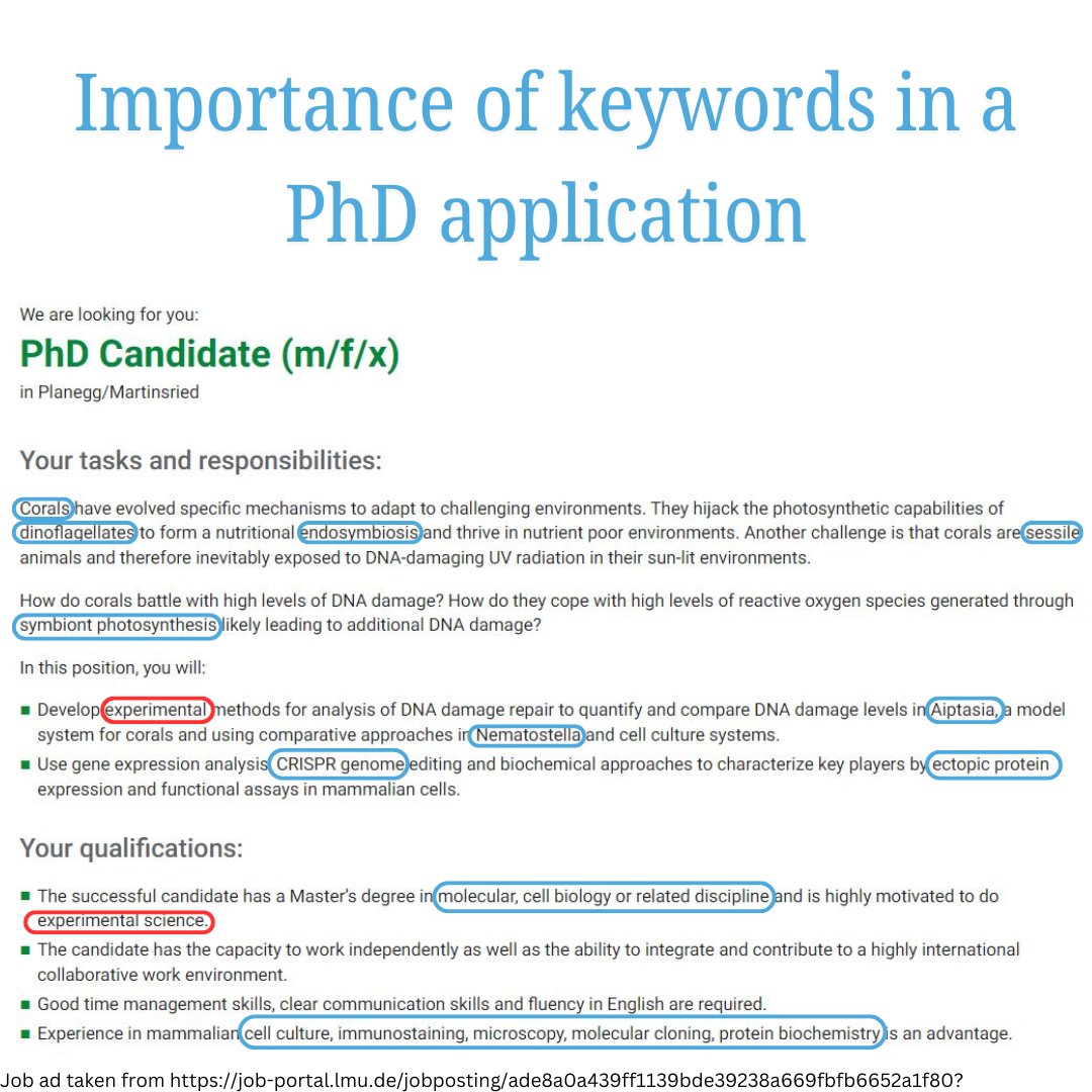 ConsultEd15's tweet image. Keywords are relevant when you check for funded PhD programs, especially structured ones. Use them to identify the funded positions, documentation and understand the work type.
.
.
.
.
.
.
.
.
#ConsultEd #keywords #fundedPhD #educationinEurope