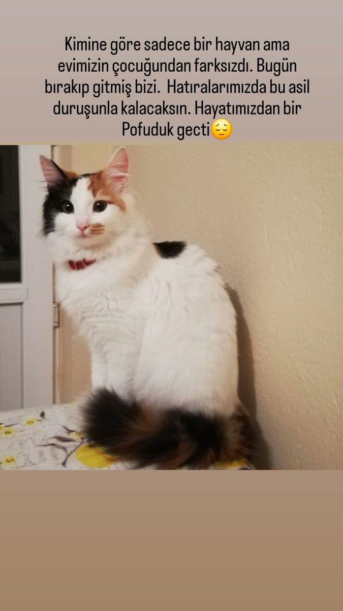 Güzel kızım hiç unutmayacağım seni..