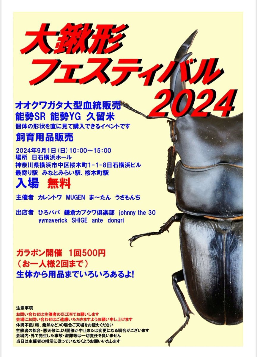 国産オオクワガタ　能勢SRペアNo.1 オオクワガタ能勢SR血統♂♀ペア㊵