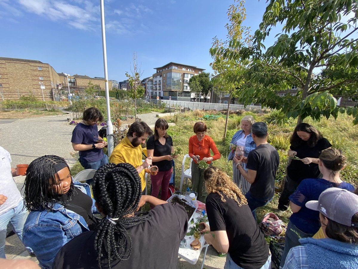 Great turn out yesterday for our #plantpropagation workshop! 🌱 Thanks to everyone who joined and our teacher Lorraine! #communitygarden #growyourfood