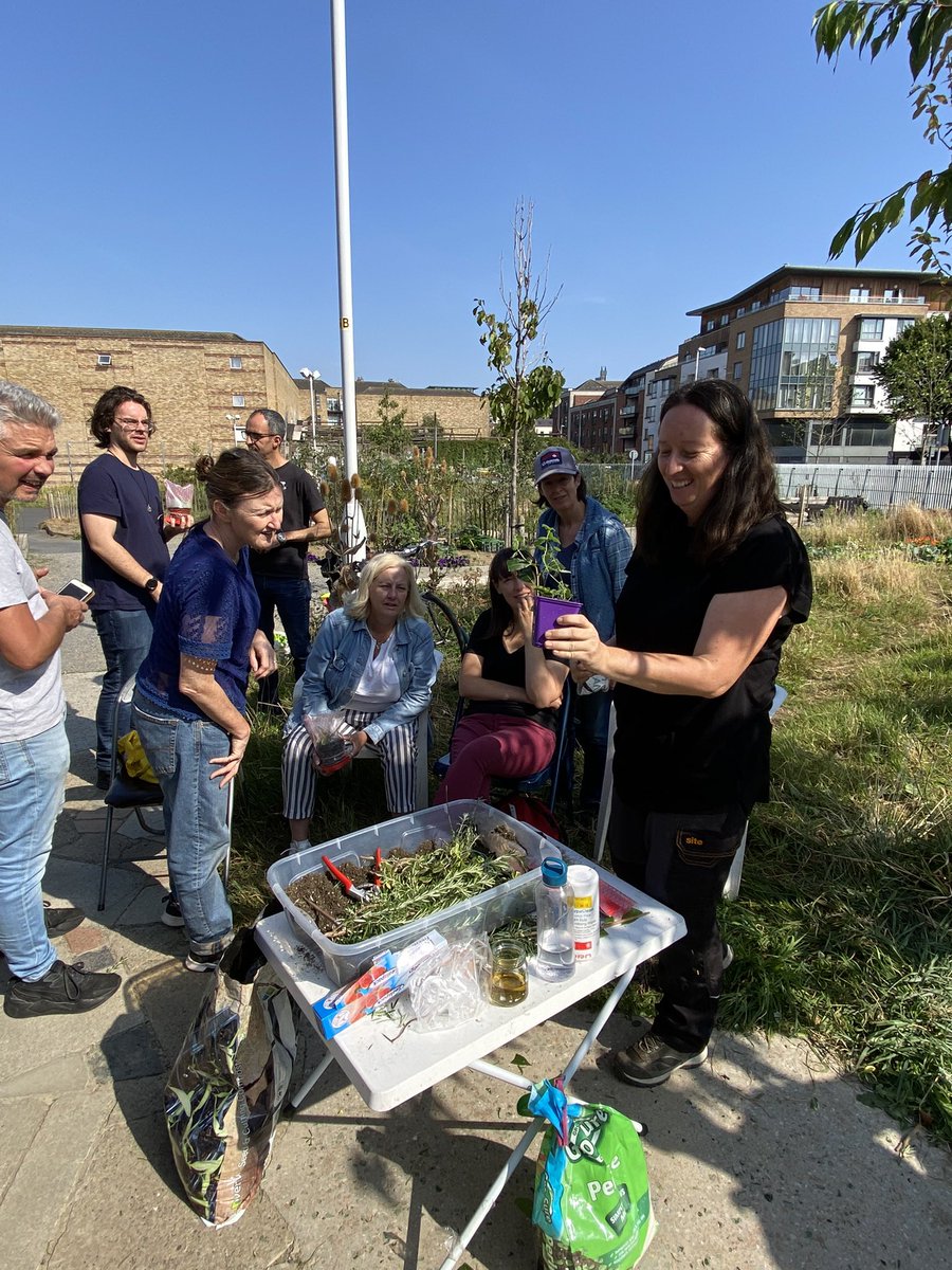 Taplin's Fields Community Garden tweet media