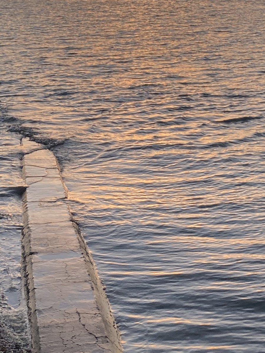 SurfMadDad tweet media