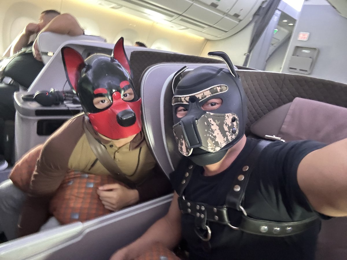 2SGT (@recon2sg) on Twitter photo Customary pup hood pic marking the close of another awesome trip. Returning from Bangkok, where <a href="/danialrubber/">Danial Rubber</a> and I helped organise a surprise birthday party for our beloved family pet <a href="/Wolfpup_Takashi/">Wolfpup Takashi</a>. Customary pup hood pic marking the close of another awesome trip. Returning from Bangkok, where <a href="/danialrubber/">Danial Rubber</a> and I helped organise a surprise birthday party for our beloved family pet <a href="/Wolfpup_Takashi/">Wolfpup Takashi</a>.