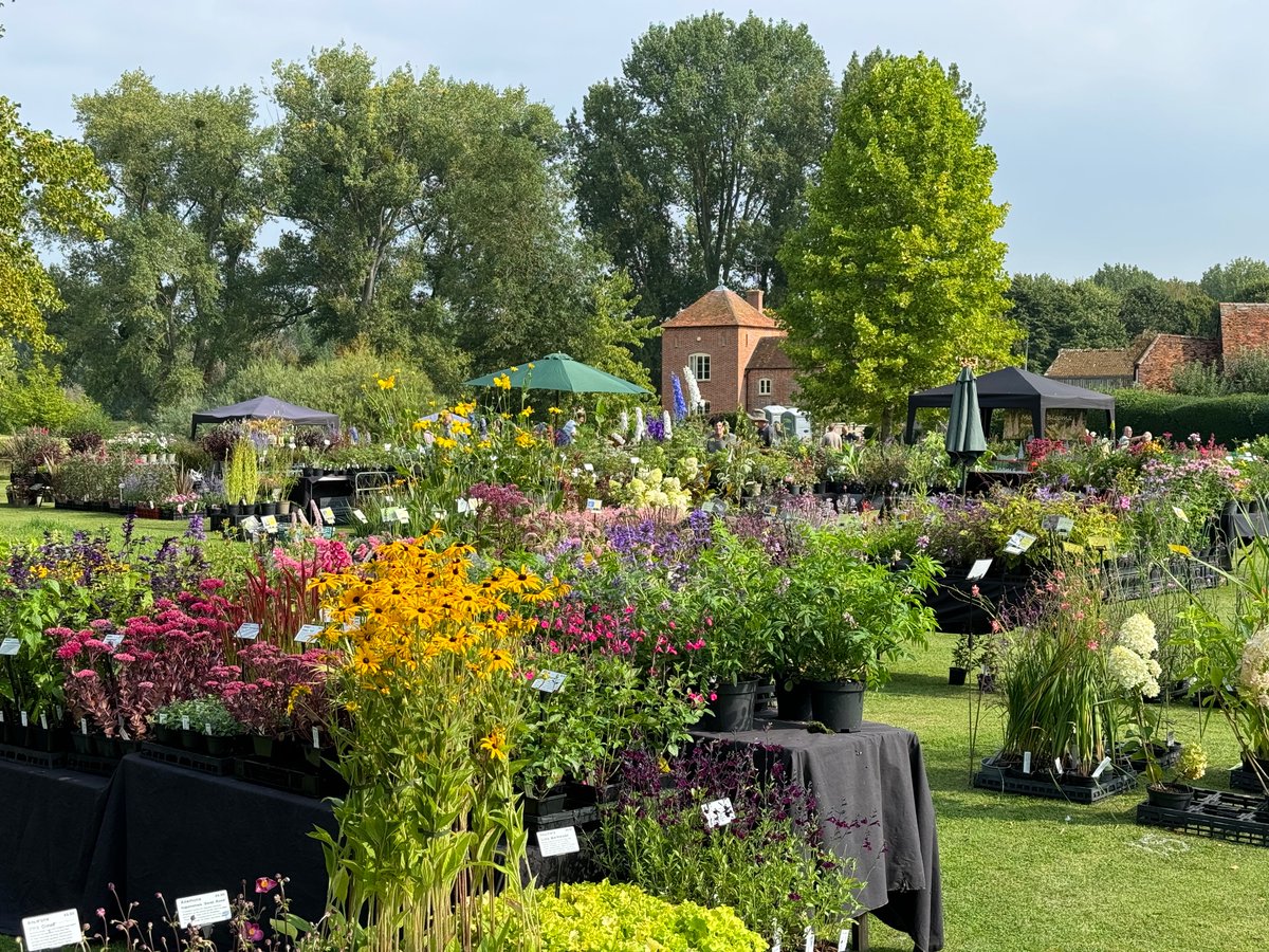 Looking forward to a great day <a href="/RarePlantFair/">Rare Plant Fair</a> at Adwell House, Oxfordshire 11am to 4pm. Sun is shining and lots of nurseries selling rare and unusual plants.