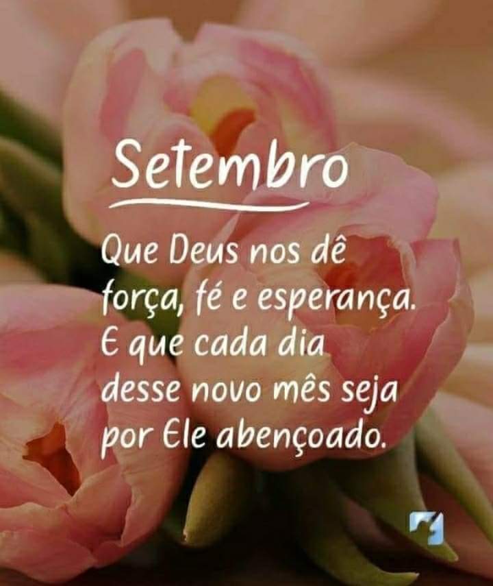 Bom dia 🌻🌷 bom domingo 🌹🌷