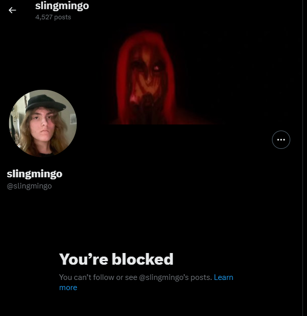 JoeBidenRE's tweet photo. ive been #BLOCKED by slingymingy... heh... i guess i deserve.. it. https://t.co/96jpeidiF0
