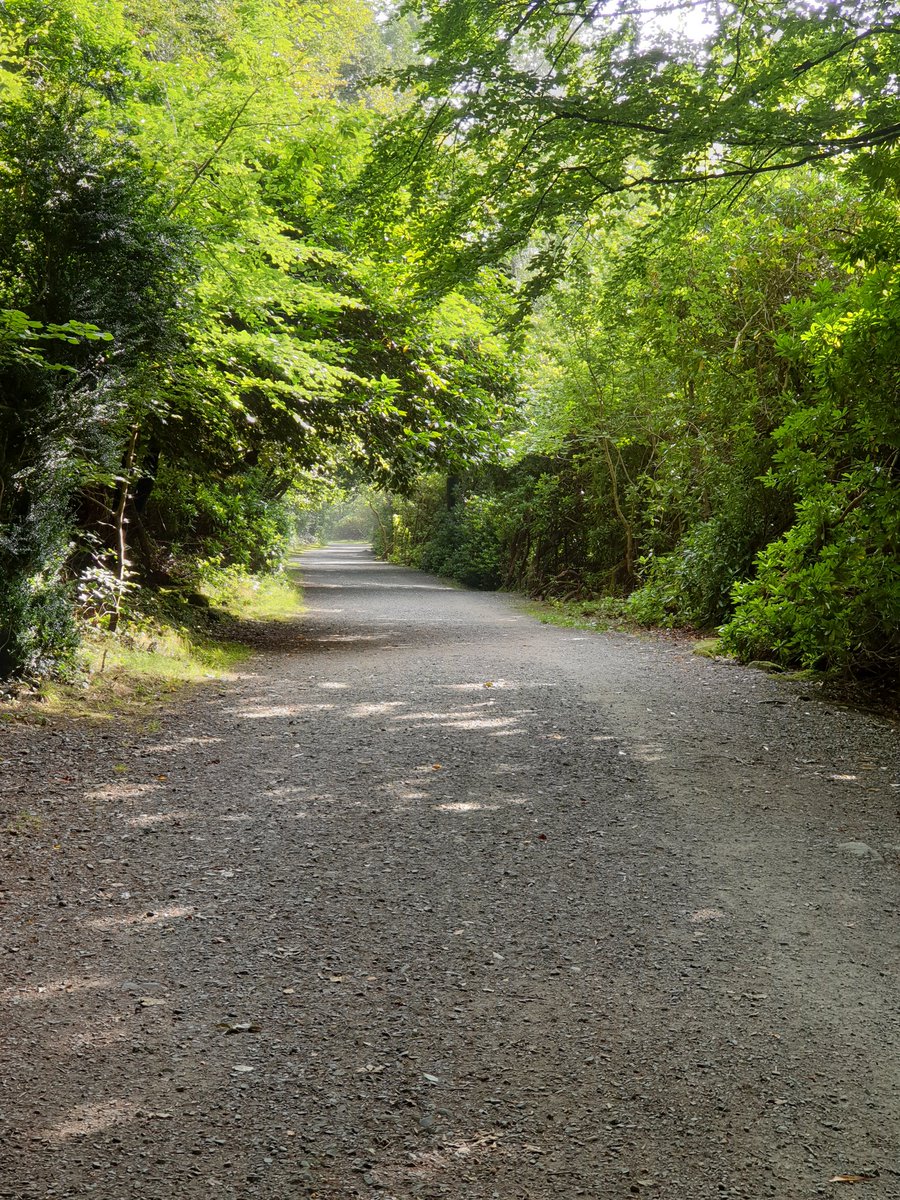 What a weekend of pleasures in Newcastle, Co. Down! First 2 concerts in the Mourne Chamber Music Festival have been great - exciting, ambitious programme delivered by amazing young musicians. Another concert to come, 4.00pm today. Walks in Castlewellan, great food in Bucks Head.
