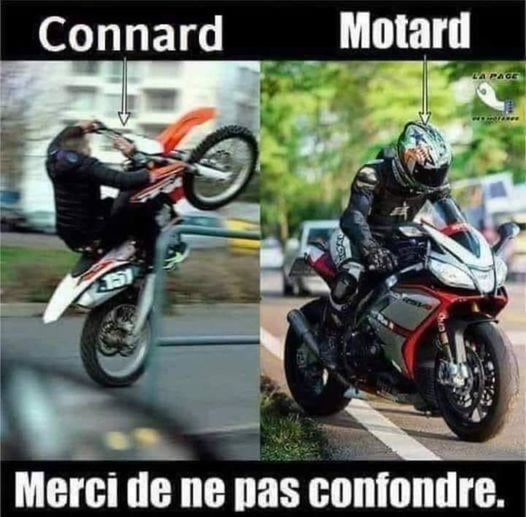 Appelons un chat un chat ,messieurs les journalistes 🤬