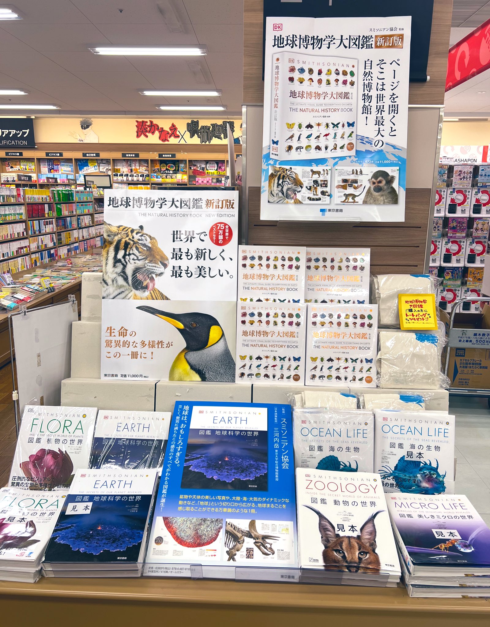 地球博物学大図鑑 東京書籍 東京書籍】 一般書籍 自然科学 地球博物学大図鑑 新訂版