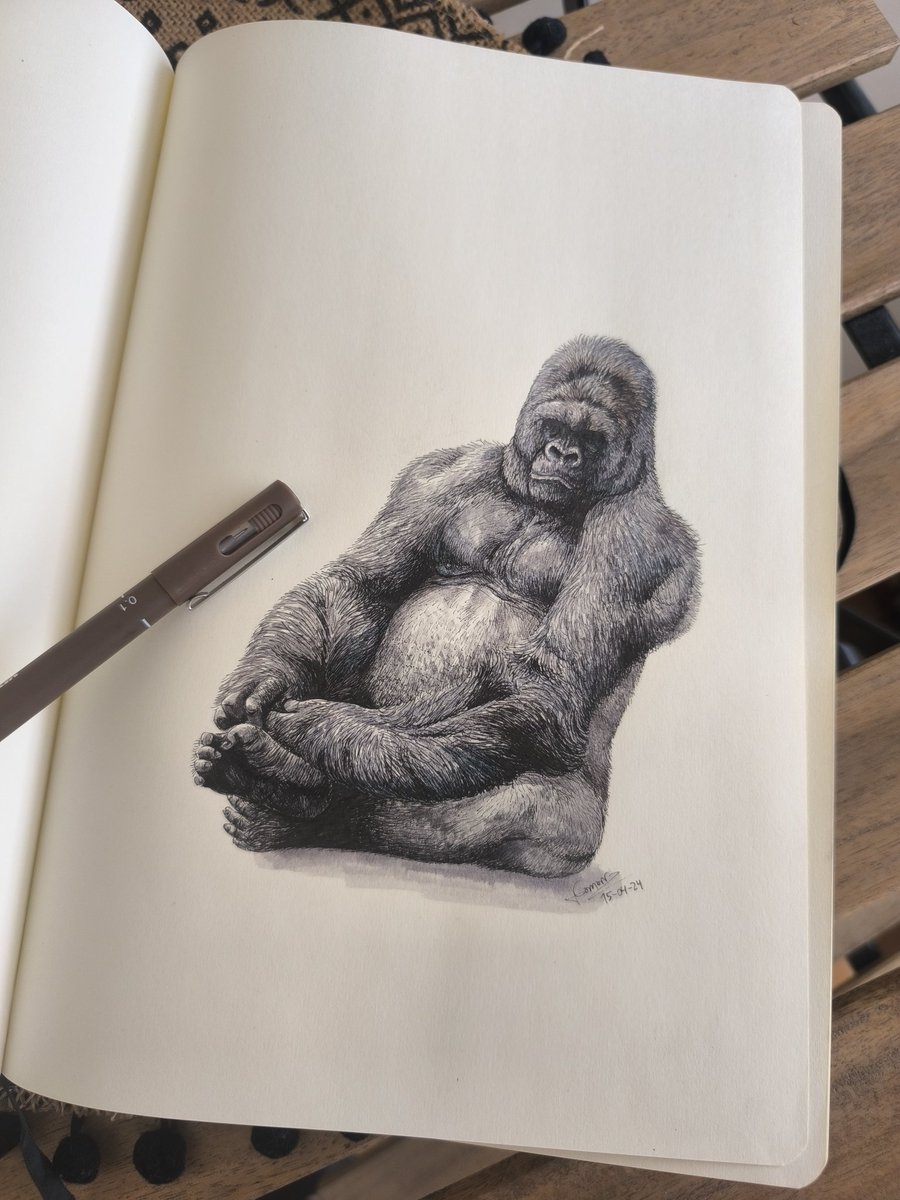 Gamarraptor's tweet photo. 1 de septiembre, Día Internacional de los Primates
Gorilla gorilla 🦍Tinta y rotuladores
#worldprimatesday #primates #inkdrawing https://t.co/vM3UOUqZ1n