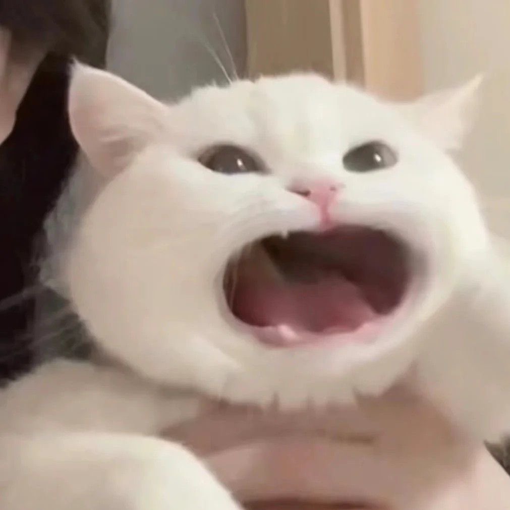 CSX__G's tweet image. 9 4