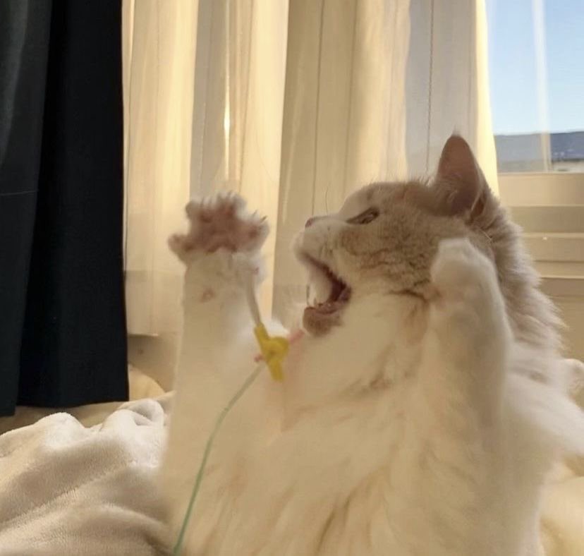 CSX__G's tweet image. 9 4