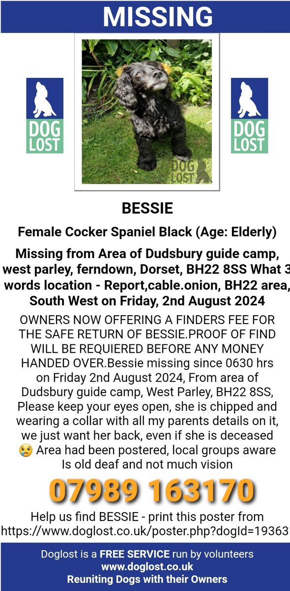 It's now 4 weeks since little BESSIE went missing whilst out on a regular dog walk.

If anyone has ANY information on her whereabouts, please contact asap.

There is a finders fee offeres for the safe return of BESSIE. She is deeply loved &amp; missed by a heartbroken owner💔
#Dorset