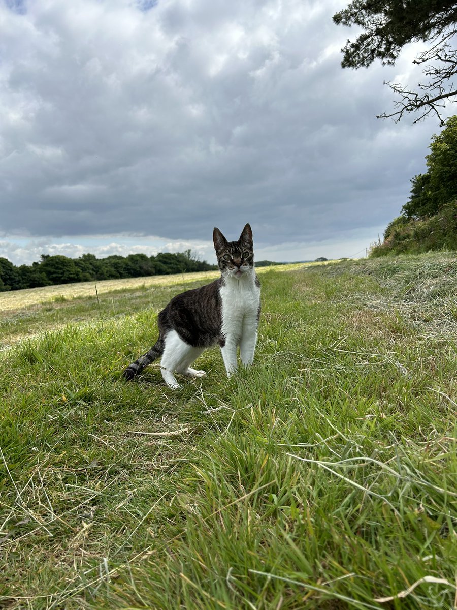 Sierkovitz tweet media