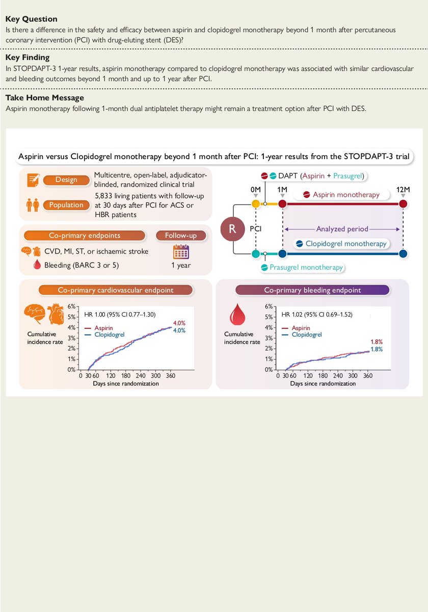 EHJ Editor-in-Chief (@ehj_ed) on Twitter photo Aspirin monotherapy compared to clopidogrel monotherapy was associated with similar cardiovascular and bleeding outcomes at 1 year after PCI with DES. Read the 1-year follow up STOPDAPT-3 Trial in #EHJ.
doi.org/10.1093/eurhea…
#ESCCongress #cardiotwitter <a href="/ESC_Journals/">European Society of Cardiology Journals</a> <a href="/escardio/">European Society of Cardiology</a> Aspirin monotherapy compared to clopidogrel monotherapy was associated with similar cardiovascular and bleeding outcomes at 1 year after PCI with DES. Read the 1-year follow up STOPDAPT-3 Trial in #EHJ.
doi.org/10.1093/eurhea…
#ESCCongress #cardiotwitter <a href="/ESC_Journals/">European Society of Cardiology Journals</a> <a href="/escardio/">European Society of Cardiology</a>