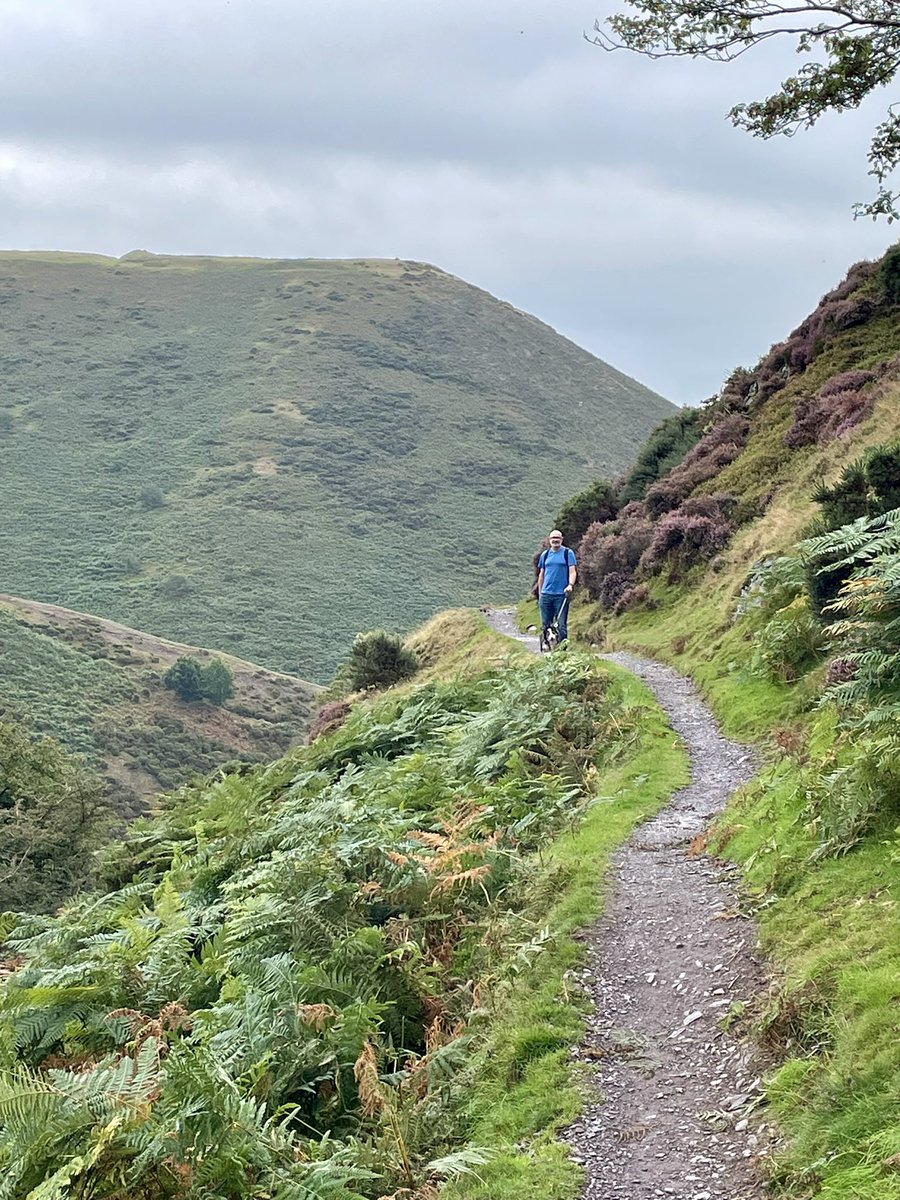 kjn30's tweet photo. Shropshire holiday pics cont..
#BorderCollie #Shropshire https://t.co/B1qA1bB2FI