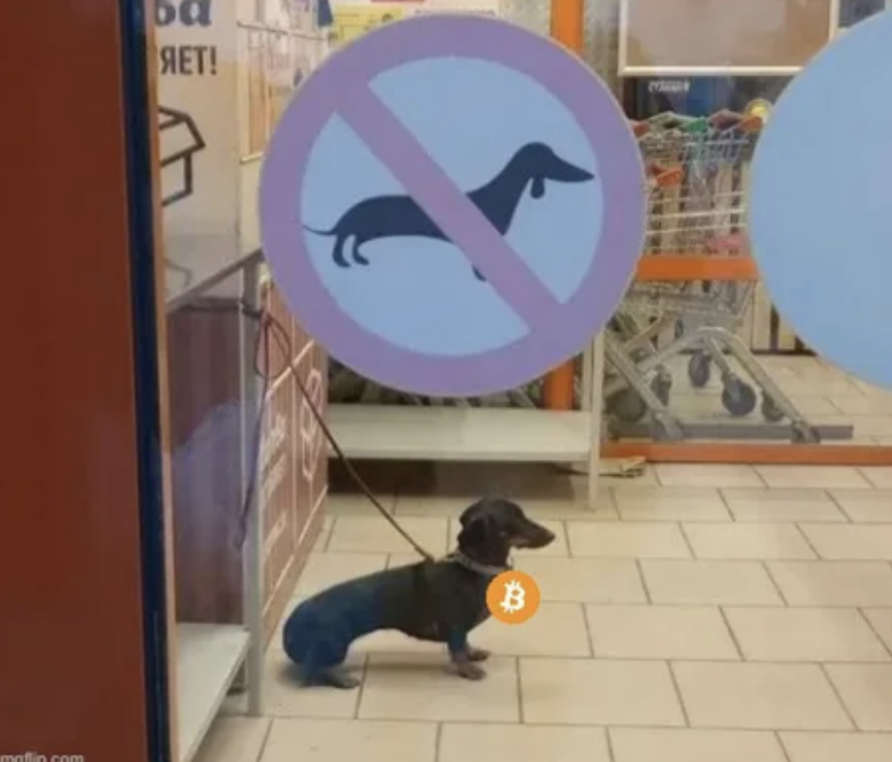 You can’t ban #BTC 🔥