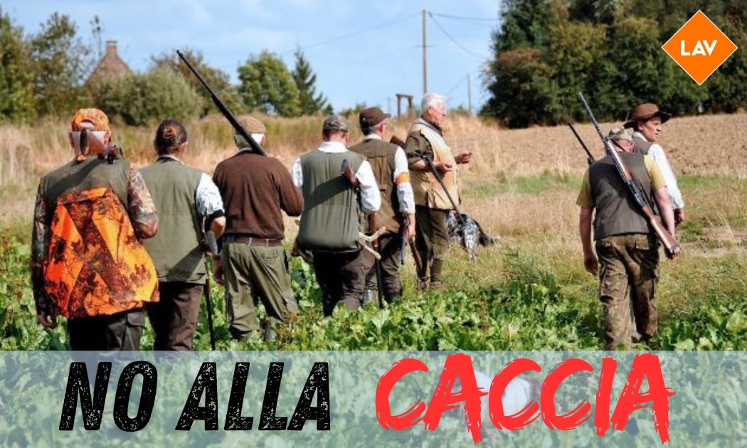 La <a href="/regionetoscana/">Regione Toscana</a> a guida <a href="/pdnetwork/">Partito Democratico 🇮🇹 🇪🇺</a>  ha autorizzato l'apertura anticipata della caccia nei giorni 1 e 8 Settembre! Per questo motivo, centinaia di persone in tutta #prato e provincia, sono state svegliate dagli spari dei fucili troppo vicini alle abitazioni! <a href="/Provincia_Prato/">Provincia di Prato</a>