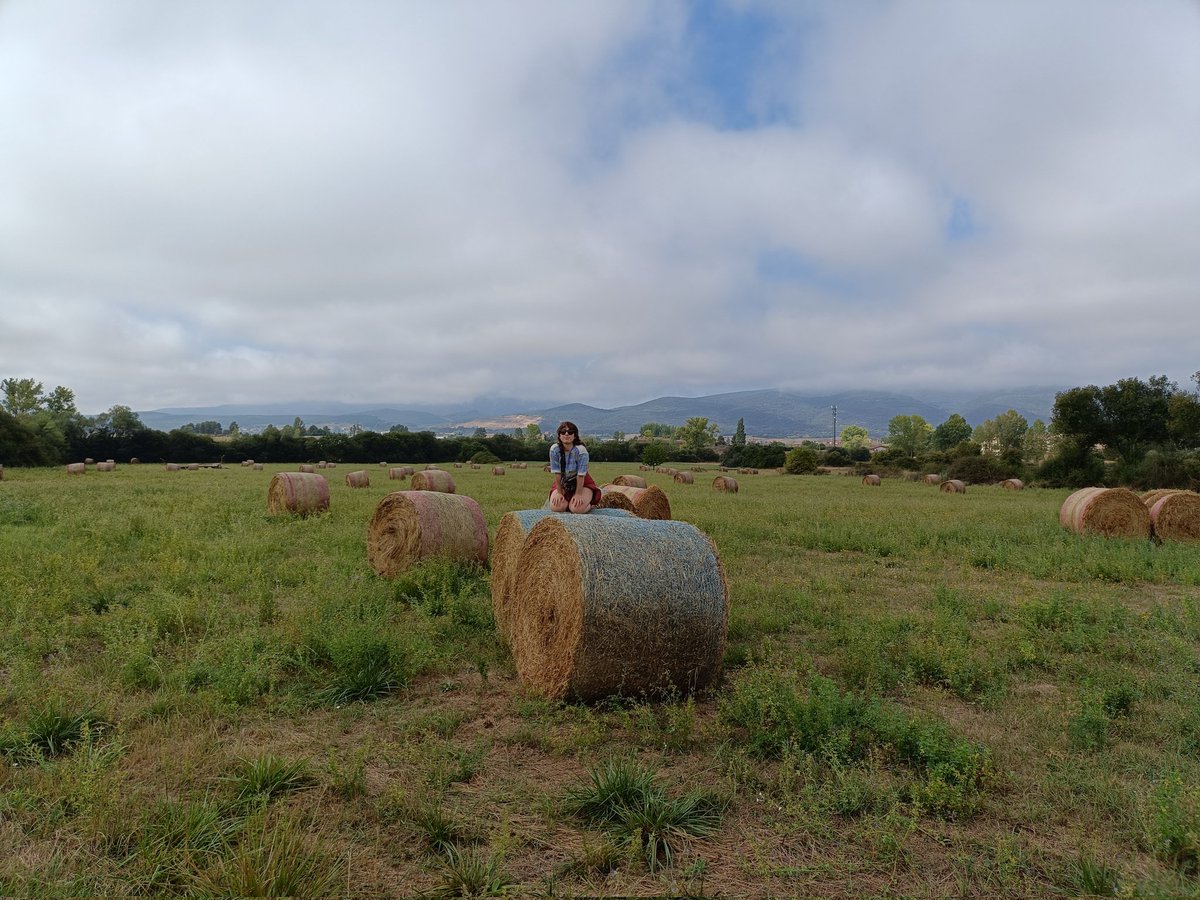 beovulfo tweet media