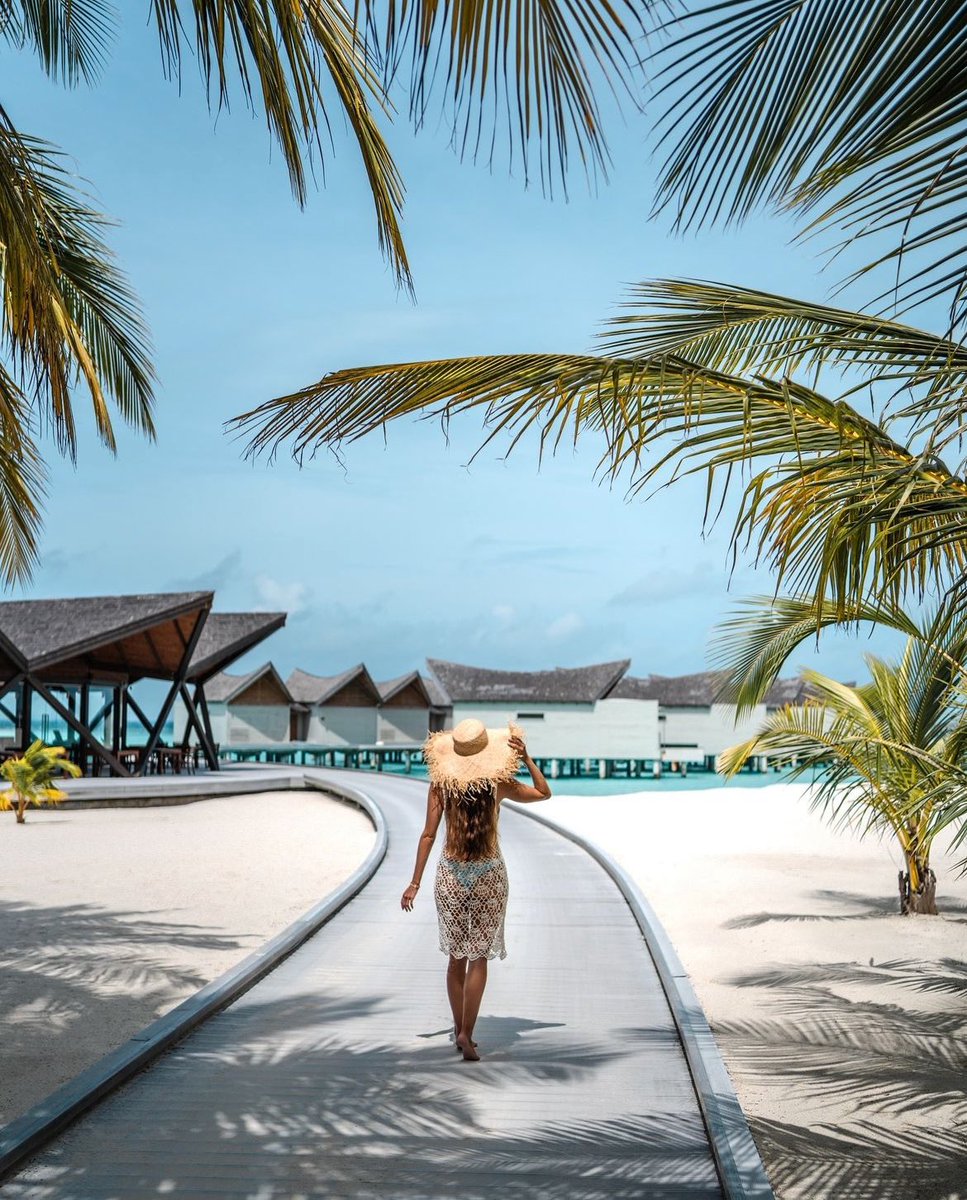 tripdocom's tweet photo. 🇲🇻 If you’re after an unmatched luxury experience, value privacy, and are ready to splurge, then the Maldives is certainly worth it.

*
*
*
https://t.co/lq0y2m0pfo
*
*
ImaGe by @ simply.madeleine 
*
*
#maldives #maldivesislands #maldives_ig #maldivesisland #maldiveslovers #maldivestrip #maldivesparadise #maldiveslife #maldives🇲🇻 #visitmaldives #fushi #maldiveshoneymoon #maldivesbeach #maldivesphotography #holiday #vacation #trip #photooftheday #tripdo #islandlife #islandparadise #islandlove #islandtime #paradisebeach #paradiseisland #instatripdo