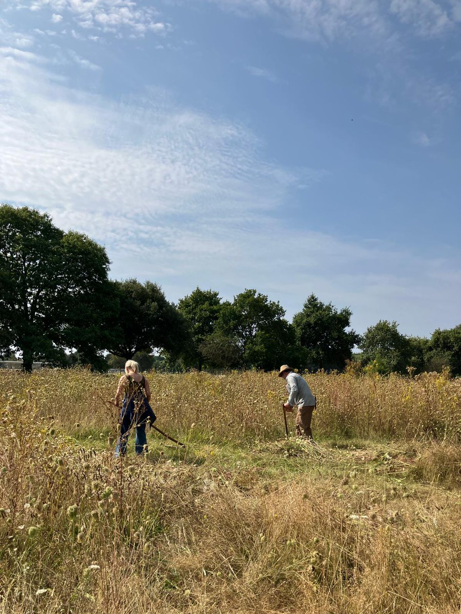 Scything Day in Eaton Park is under way! Come and say hello and find out more about this brilliant art which is good for people and the planet! We're here until 3pm with scything guru Richard Brown of wildscythe.co.uk