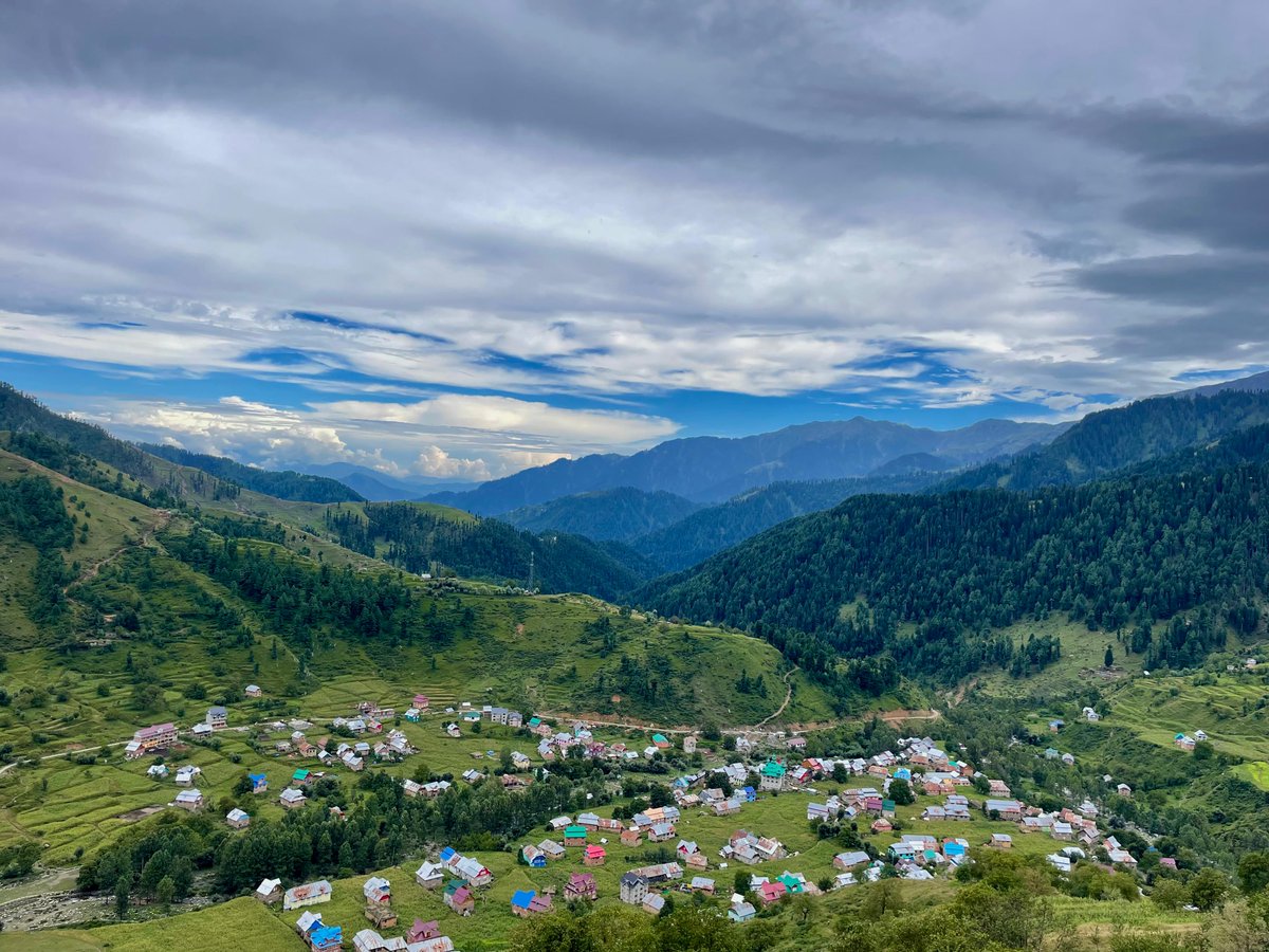 Mussarat Zia tweet media