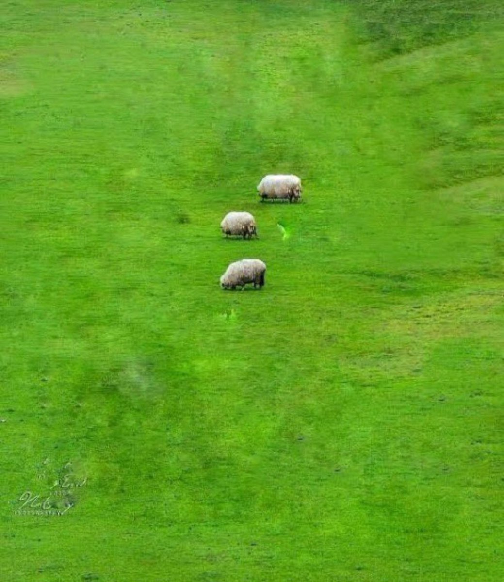 Benim matematik optiği #kpss2024 #kpssönlisans