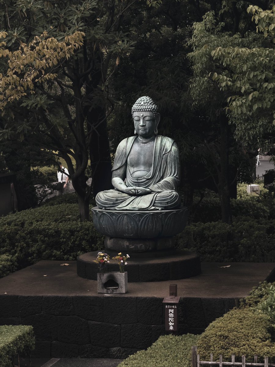 Se que ando muy desaparecido de twitter/x y demasiado alejado del mundo clash, pero ando muy activo en instagram subiendo fotos de todo lo que voy conociendo en Japón 🇯🇵 por si quieren ver lindas fotos de este hermoso país 😊 instagram.com/mirkodjukanovi…