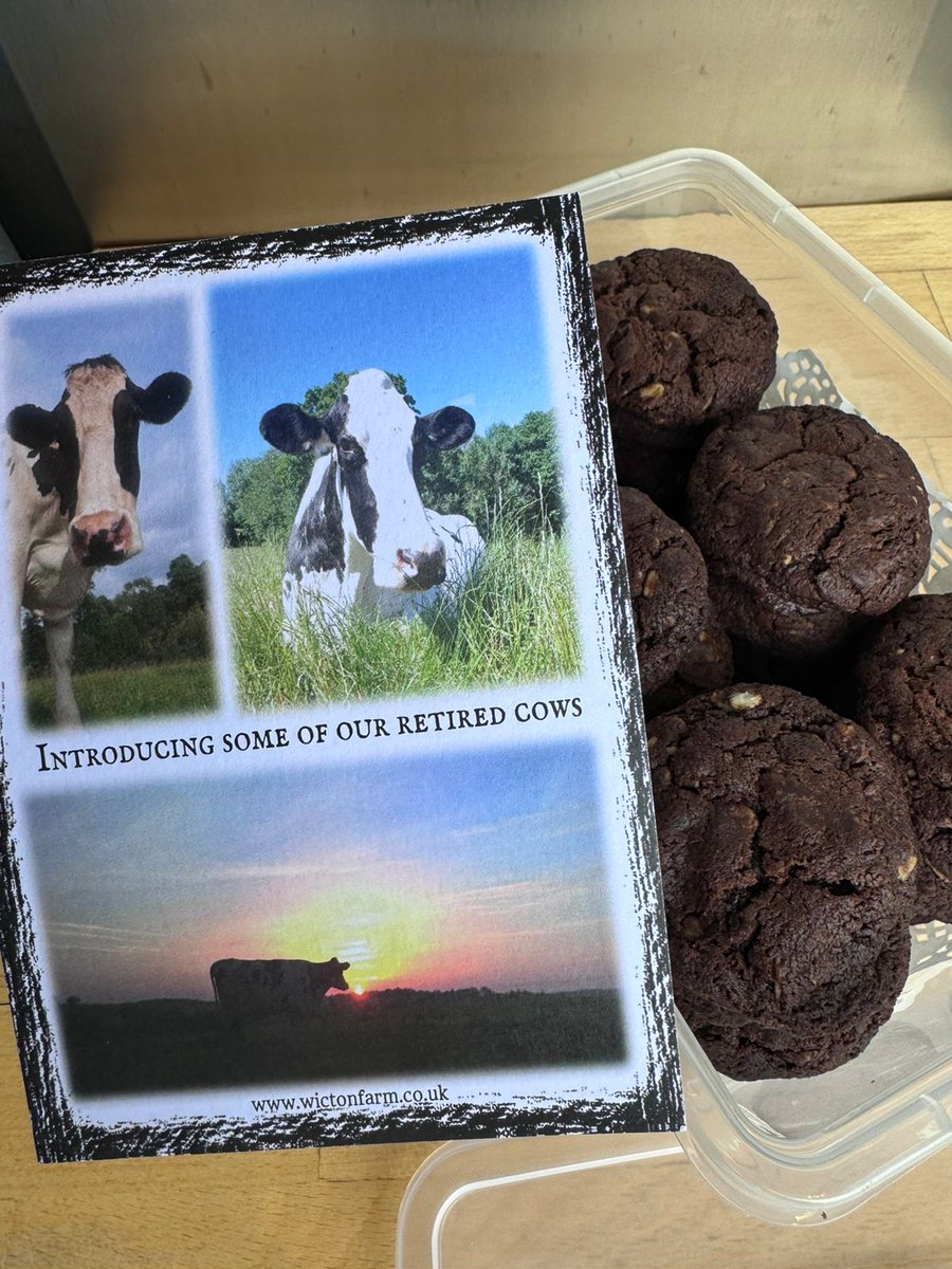 Come and celebrate with us - our beautiful and wise retired cow is 18 years old. To celebrate her birthday you will find some of our delicious chocolate "cowpat" cookies at our Coffee Cabin and Milkbot vending machine in Bromyard. Please take one and enjoy them!