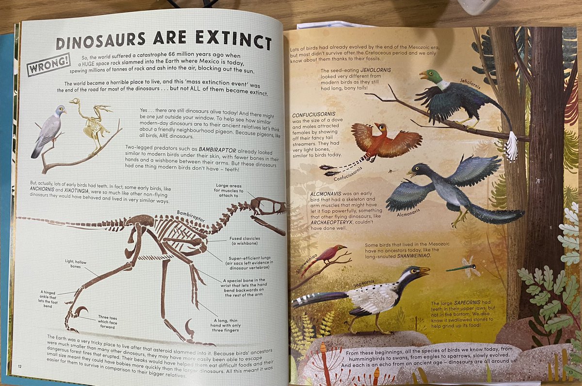 Melissa Jordan (@melissacreate15) on Twitter photo Fast becoming my favourite of this series. Dinosaurs provide so many fascinating insighrs into evolution and the studying of fossils. <a href="/Snotlady5/">Rose Edmondson</a> <a href="/hbkeenan/">Helen Brady Keenan</a> @KarlDuke8 <a href="/karentulloch1/">Karen Tulloch</a> <a href="/NosyCrowBooks/">Nosy Crow Books</a> <a href="/OpenUni_RfP/">Reading for Pleasure 🧶</a> <a href="/traceyal12/">Tracey Wilson</a> <a href="/PaulWat5/">Paul Watson</a> @skippity_doo Fast becoming my favourite of this series. Dinosaurs provide so many fascinating insighrs into evolution and the studying of fossils. <a href="/Snotlady5/">Rose Edmondson</a> <a href="/hbkeenan/">Helen Brady Keenan</a> @KarlDuke8 <a href="/karentulloch1/">Karen Tulloch</a> <a href="/NosyCrowBooks/">Nosy Crow Books</a> <a href="/OpenUni_RfP/">Reading for Pleasure 🧶</a> <a href="/traceyal12/">Tracey Wilson</a> <a href="/PaulWat5/">Paul Watson</a> @skippity_doo