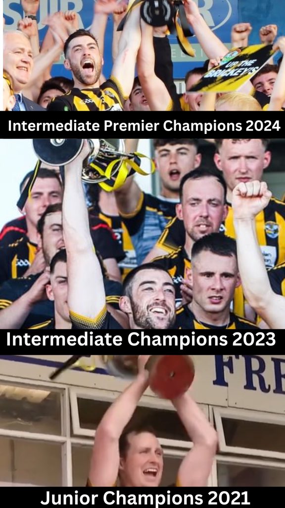 BrickeyRangersGAA (@brickeyrangers) on Twitter photo 