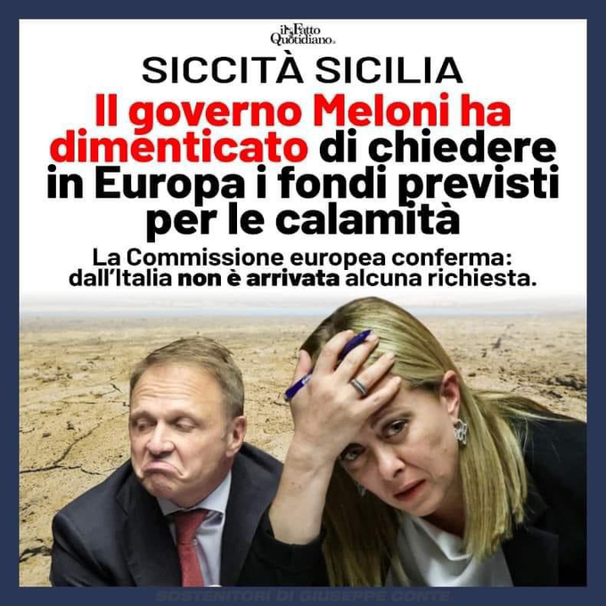 fabrizio tweet media