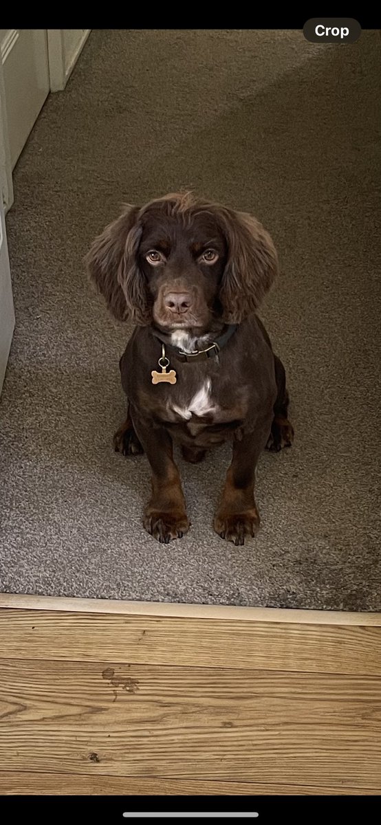 Happy birthday to the bestest , he will never know what he does for me 💙🦋