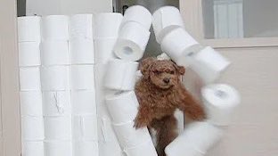 11 (@11_____2467) on Twitter photo 