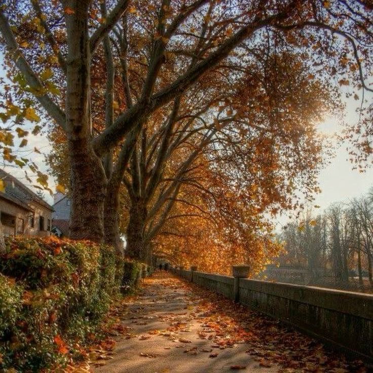 folkausten's tweet photo. happy 1st of september! https://t.co/J8AAb8ZKWl