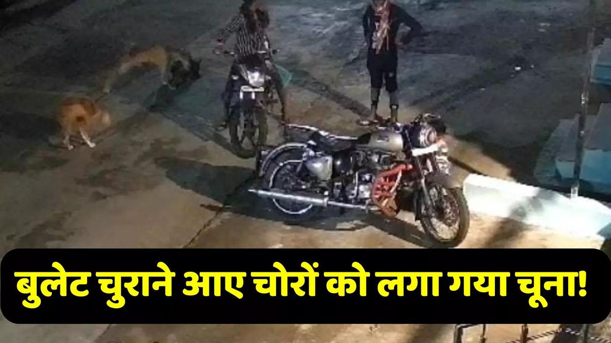 AmareshRajput's tweet photo. नेता जी की बुलेट में नहीं था तेल, चोरी का प्रयास हुआ फेल, थक हारकर बाइक छोड़कर भागे चोर https://t.co/Bfskg6pfRp https://t.co/o1a7qabNwx